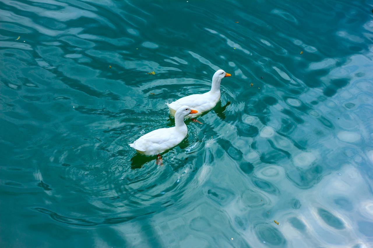 Amiran'S Lake Hotel Tbilisi Buitenkant foto
